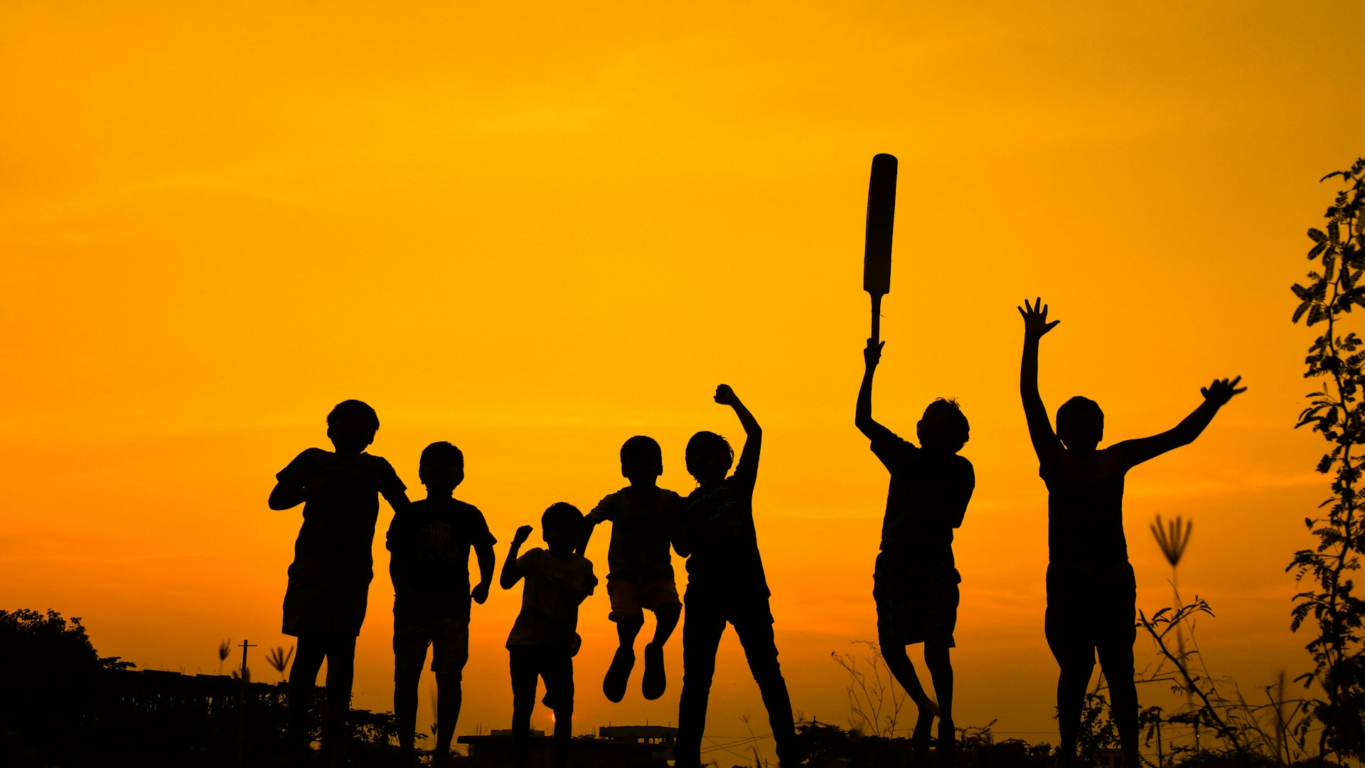 Fantasy Sports Excellence: Build Your Dream Team and Compete Like a Champion